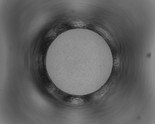 X0000097600572200803280953