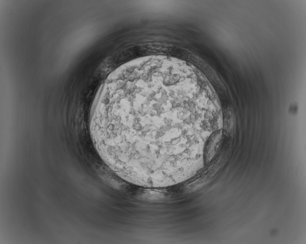 X0000097600573200803280953