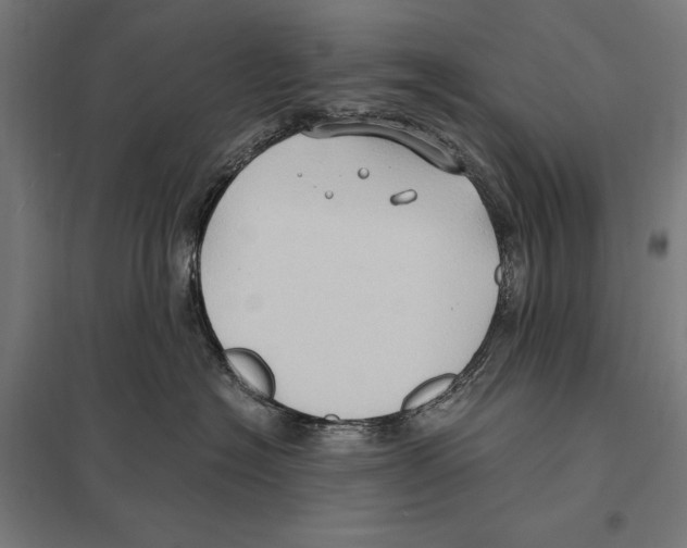 X0000097600574200803280953