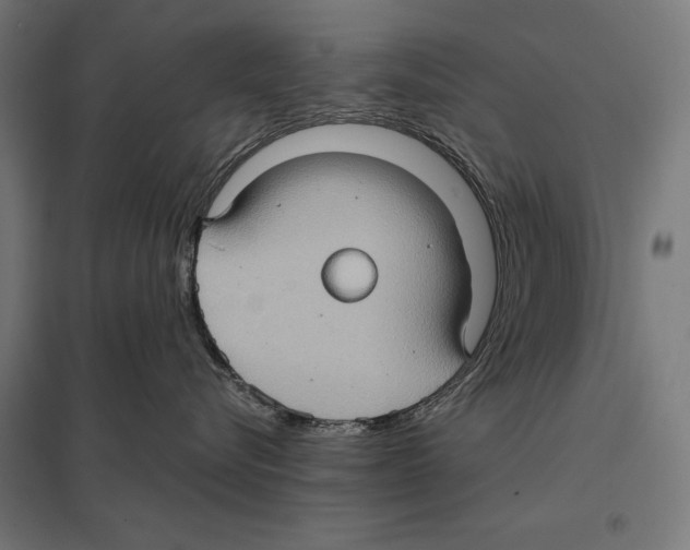 X0000097600576200803280953