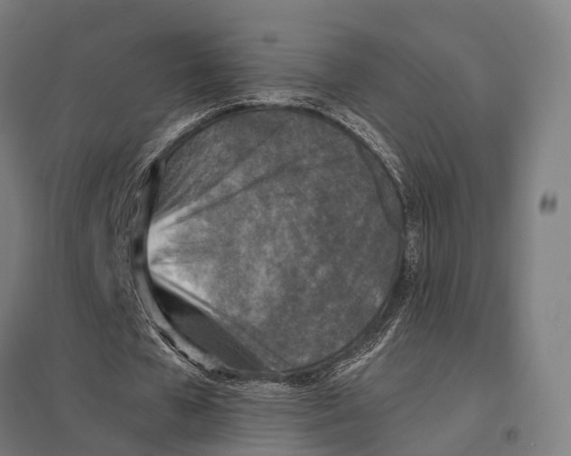 X0000097600577200803280953