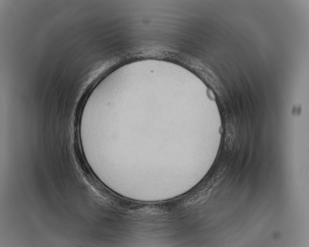 X0000097600578200803280953