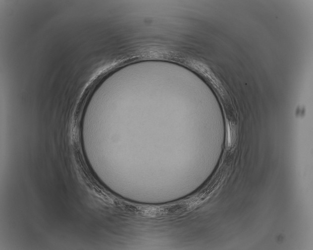 X0000097600579200803280953