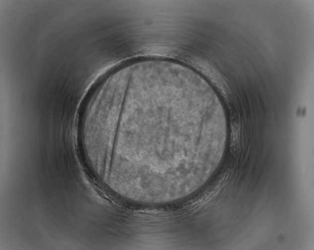 X0000097600580200803280953