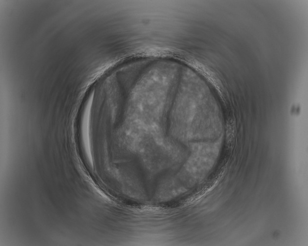 X0000097600581200803280953