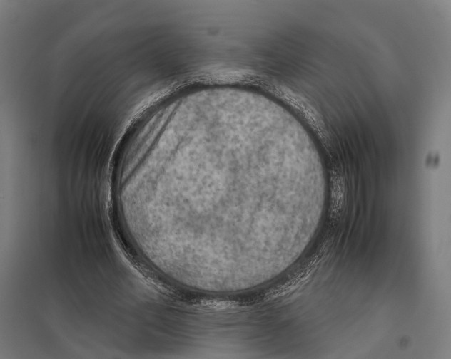 X0000097600582200803280953