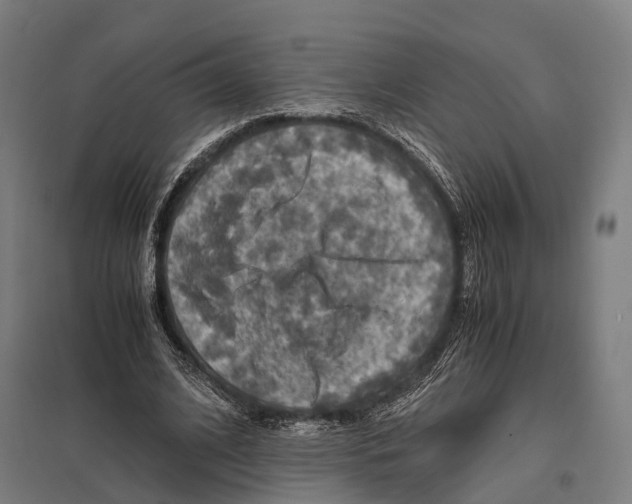 X0000097600584200803280953