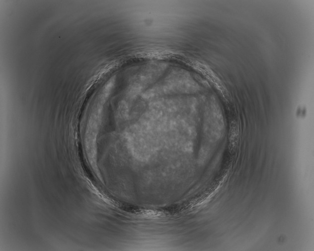 X0000097600585200803280953