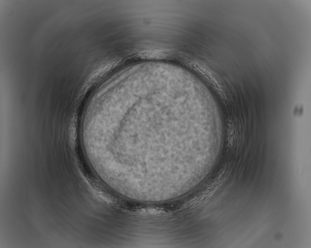 X0000097600586200803280953