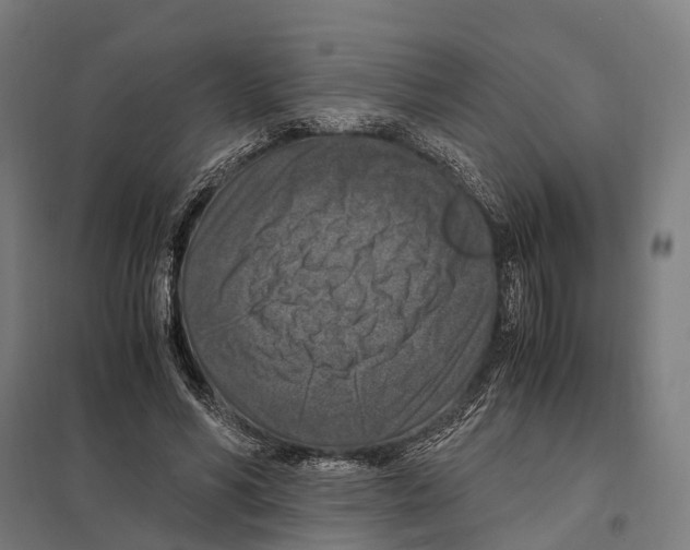 X0000097600590200803280953