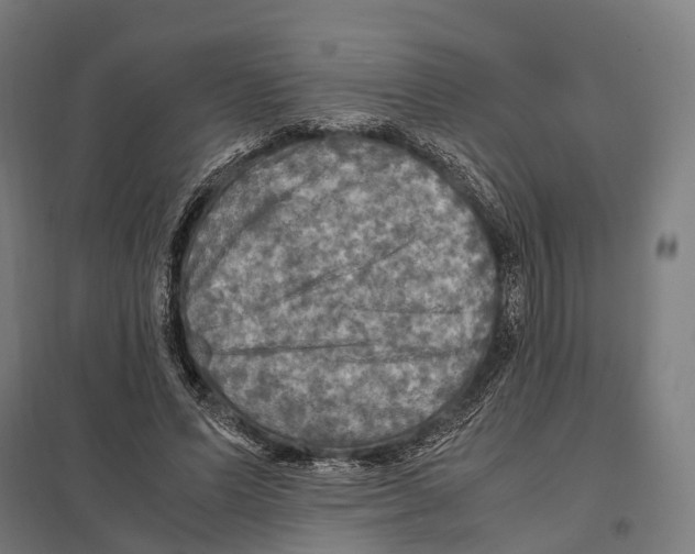 X0000097600591200803280953