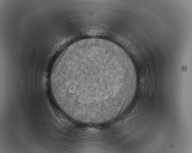 X0000097600592200803280953