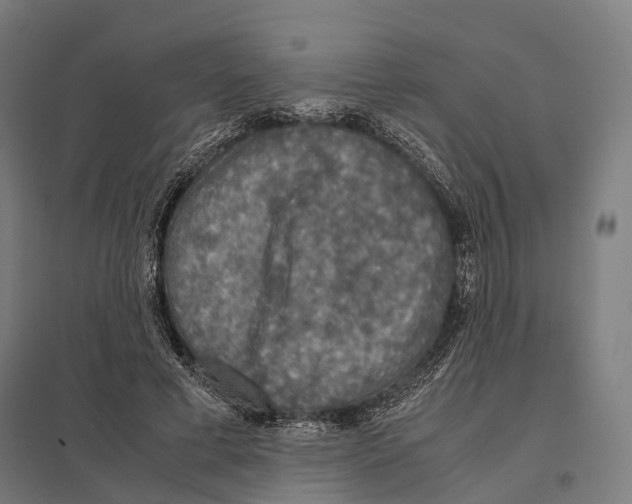 X0000097600593200803280952