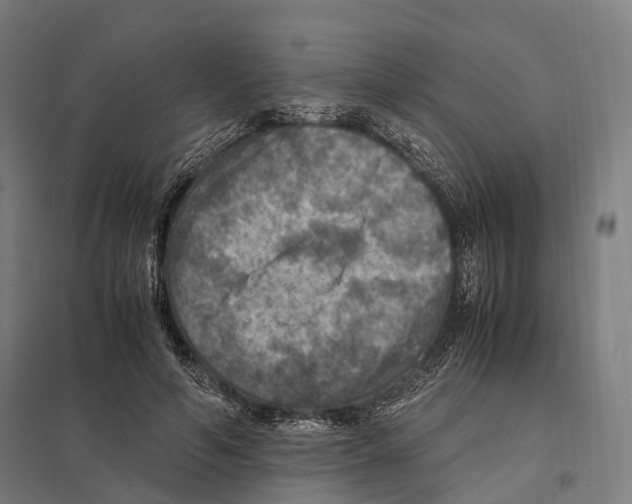 X0000097600594200803280952