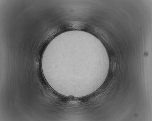 X0000097600595200803280952