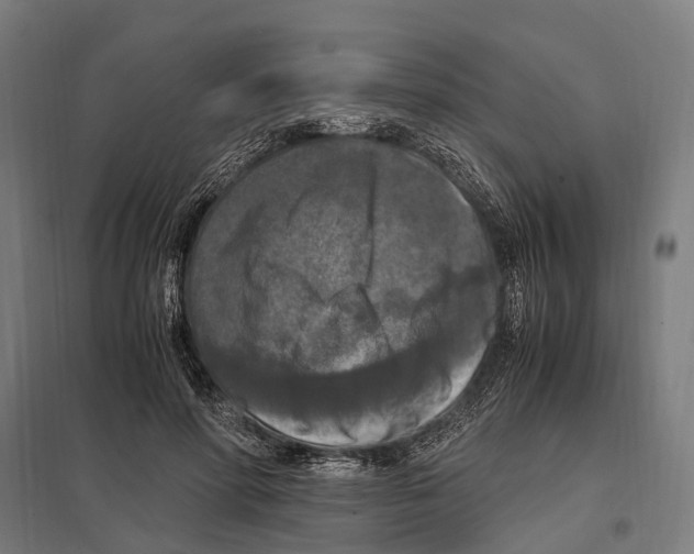 X0000097600598200803280952