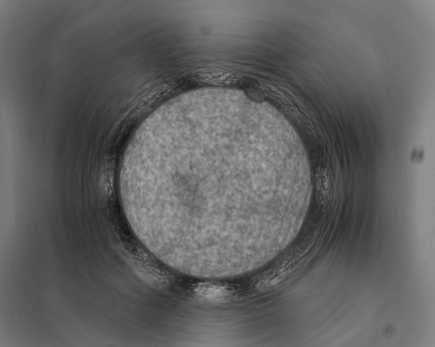 X0000097600602200803280952