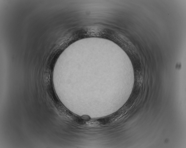 X0000097600603200803280952