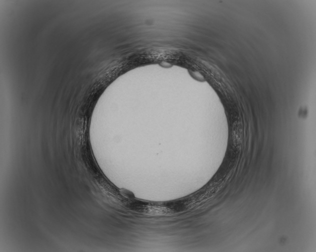 X0000097600605200803280952