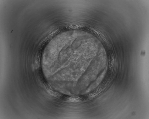 X0000097600606200803280952