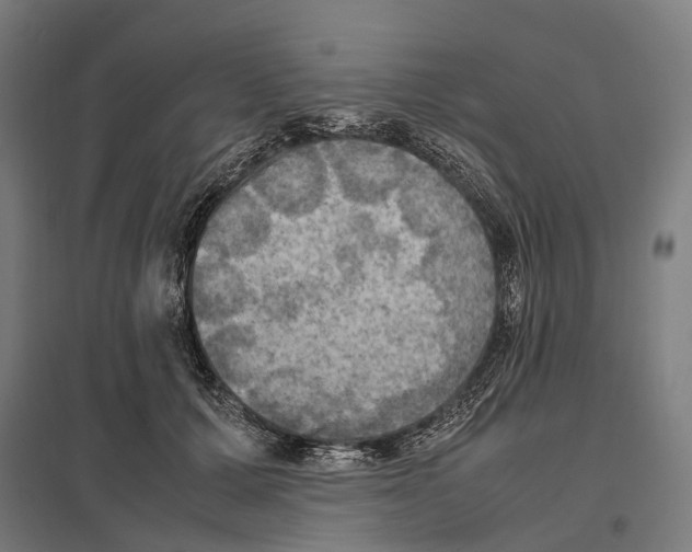 X0000097600607200803280952