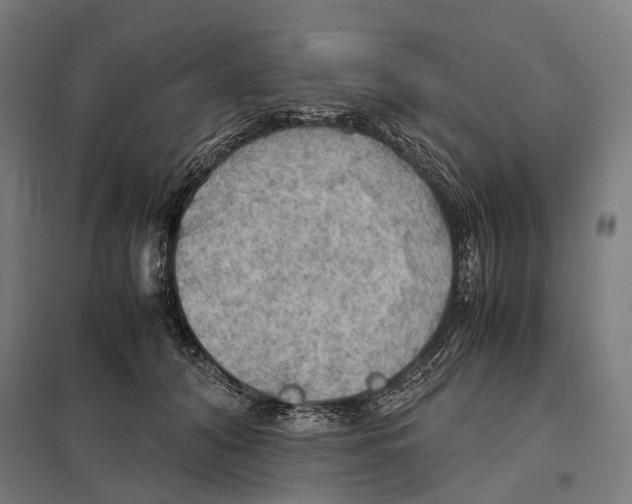 X0000097600608200803280952