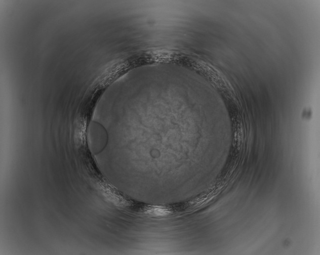 X0000097600610200803280952