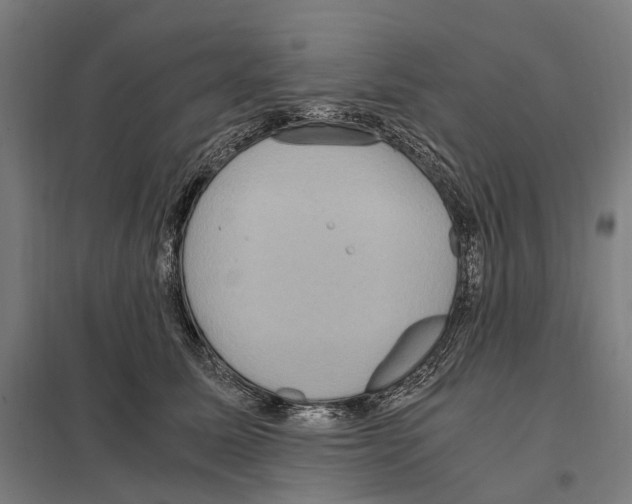 X0000097600611200803280952