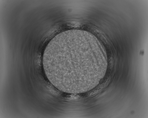 X0000097600612200803280952