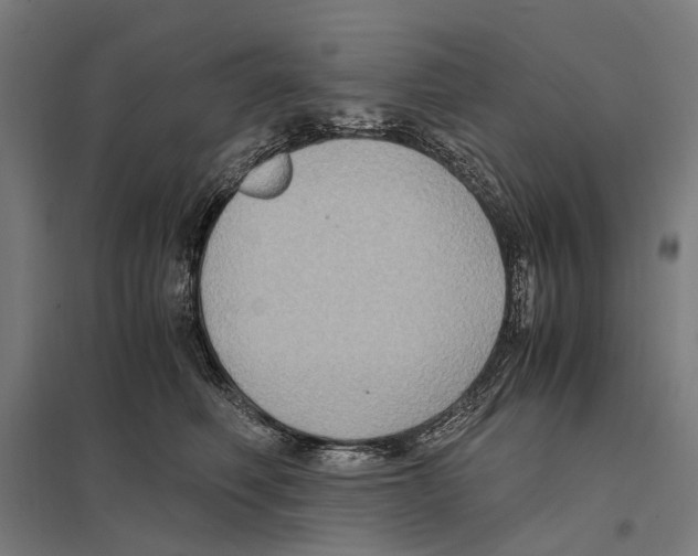 X0000097600614200803280952