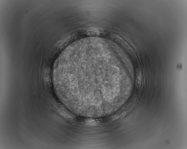 X0000097600616200803280952