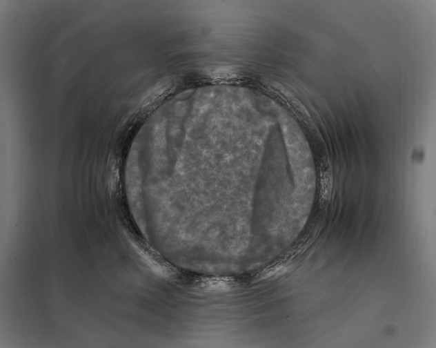 X0000097600618200803280952