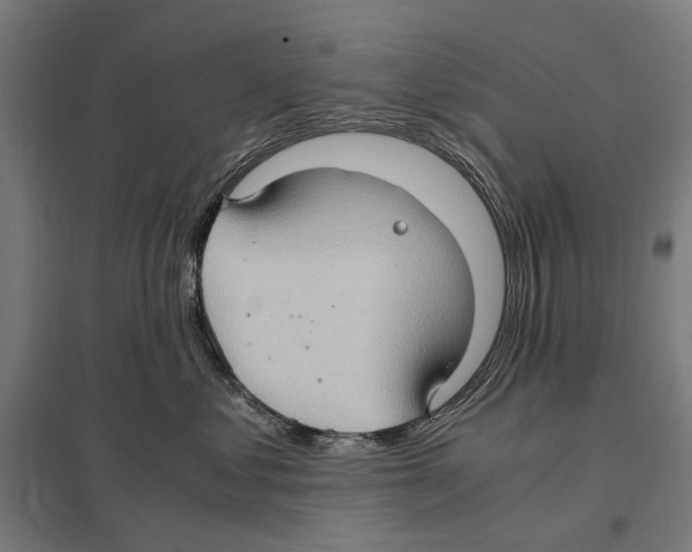 X0000097600621200803280952