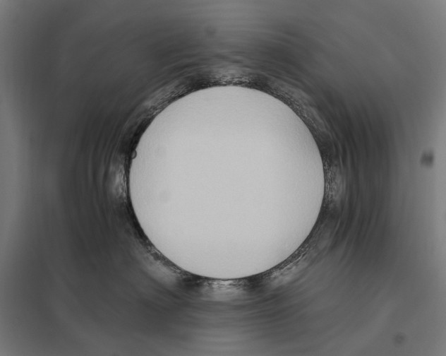 X0000097600622200803280952