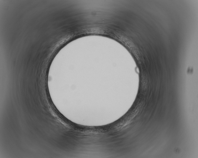 X0000097600625200803280951