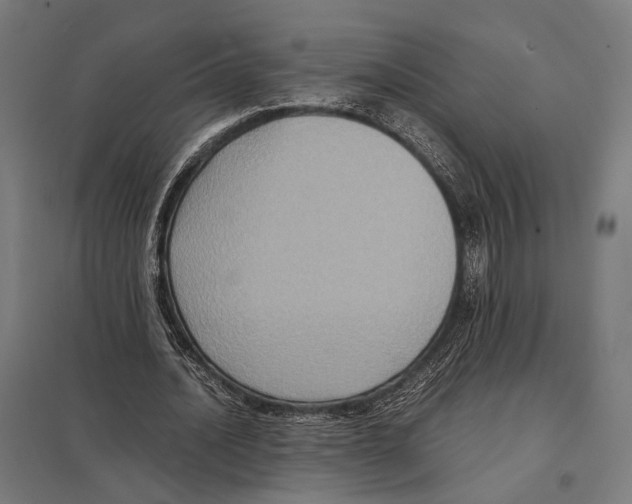 X0000097600628200803280951