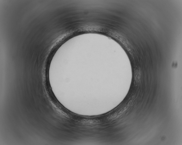 X0000097600629200803280951