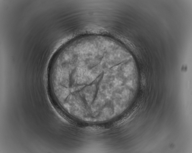 X0000097600630200803280951