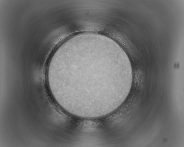 X0000097600632200803280952