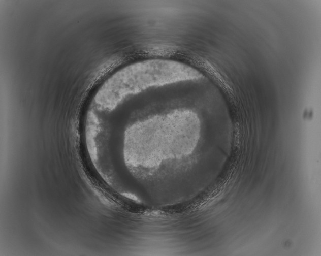 X0000097600634200803280952