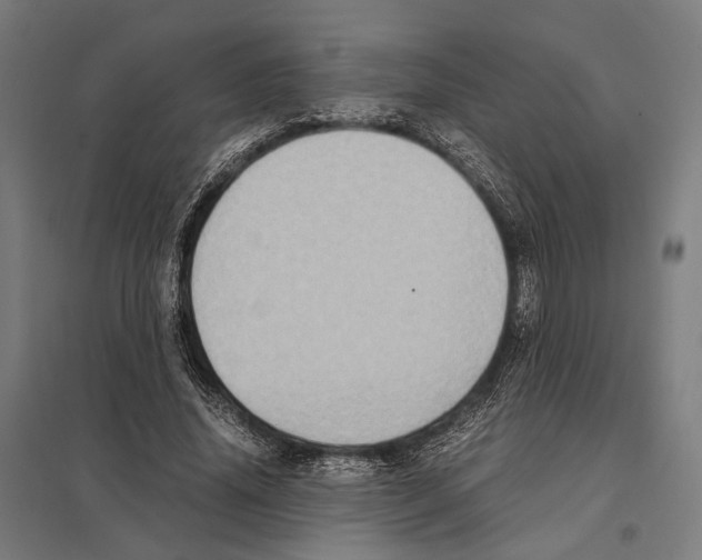 X0000097600636200803280952