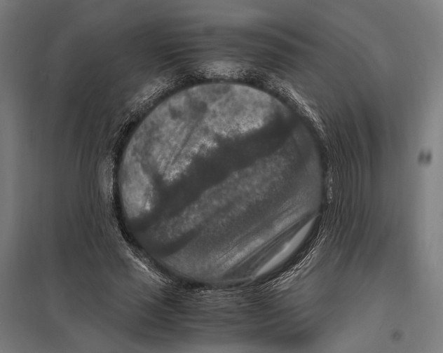 X0000097600637200803280952