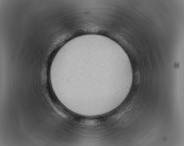 X0000097600638200803280952