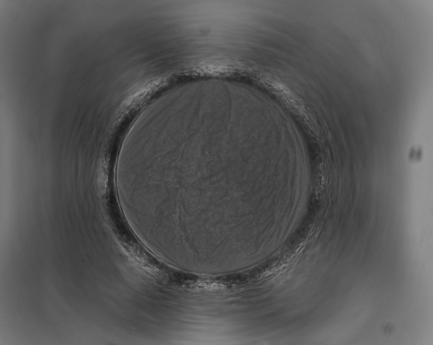 X0000097600640200803280952