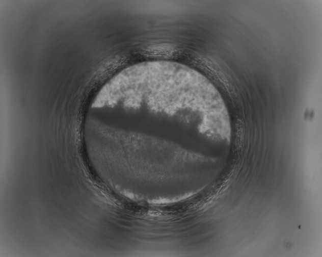 X0000097600641200803280952