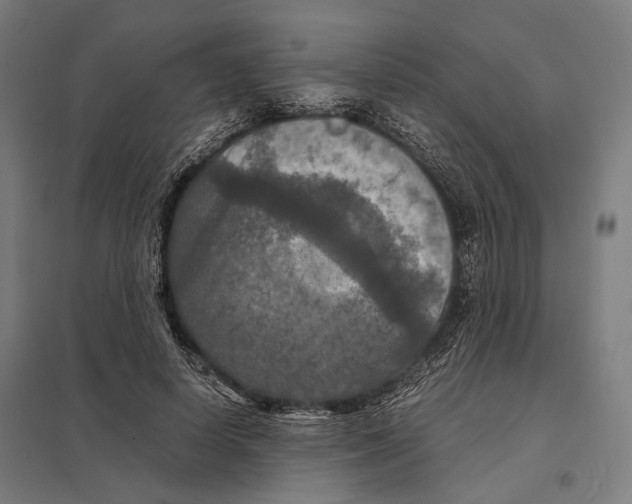 X0000097600642200803280952