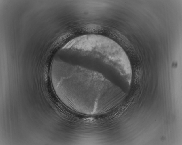 X0000097600644200803280952