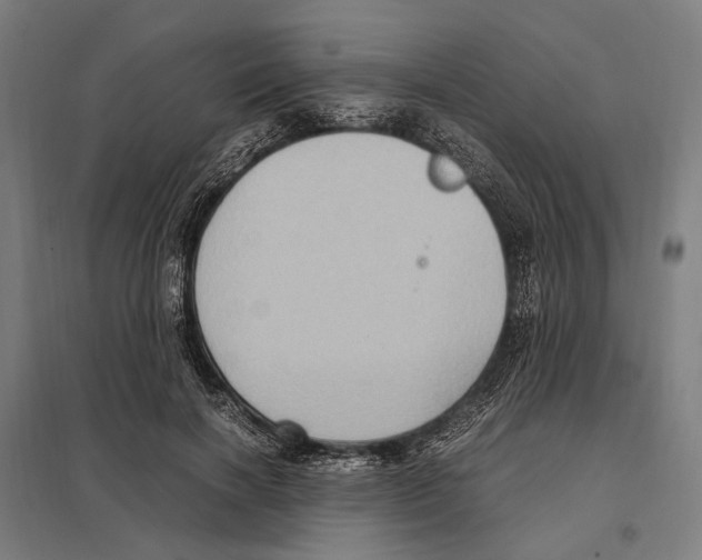 X0000097600646200803280952