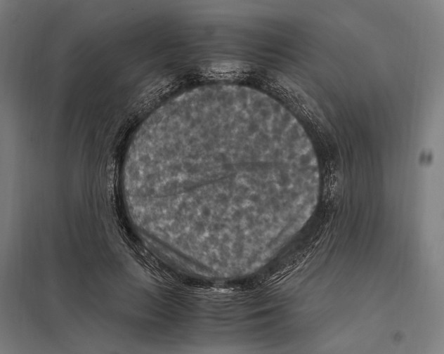 X0000097600647200803280952