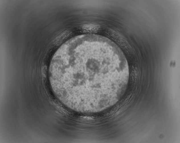 X0000097600649200803280952